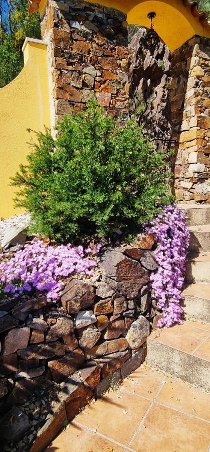 Ferienwohnung Quinta Do Cabril Serpins Exterior foto
